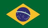 Portugees (Braziliaans) voor beginners