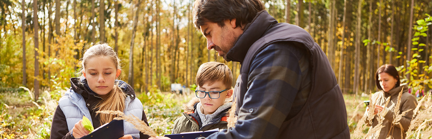 Basisopleiding Bos- en Natuurbeheer